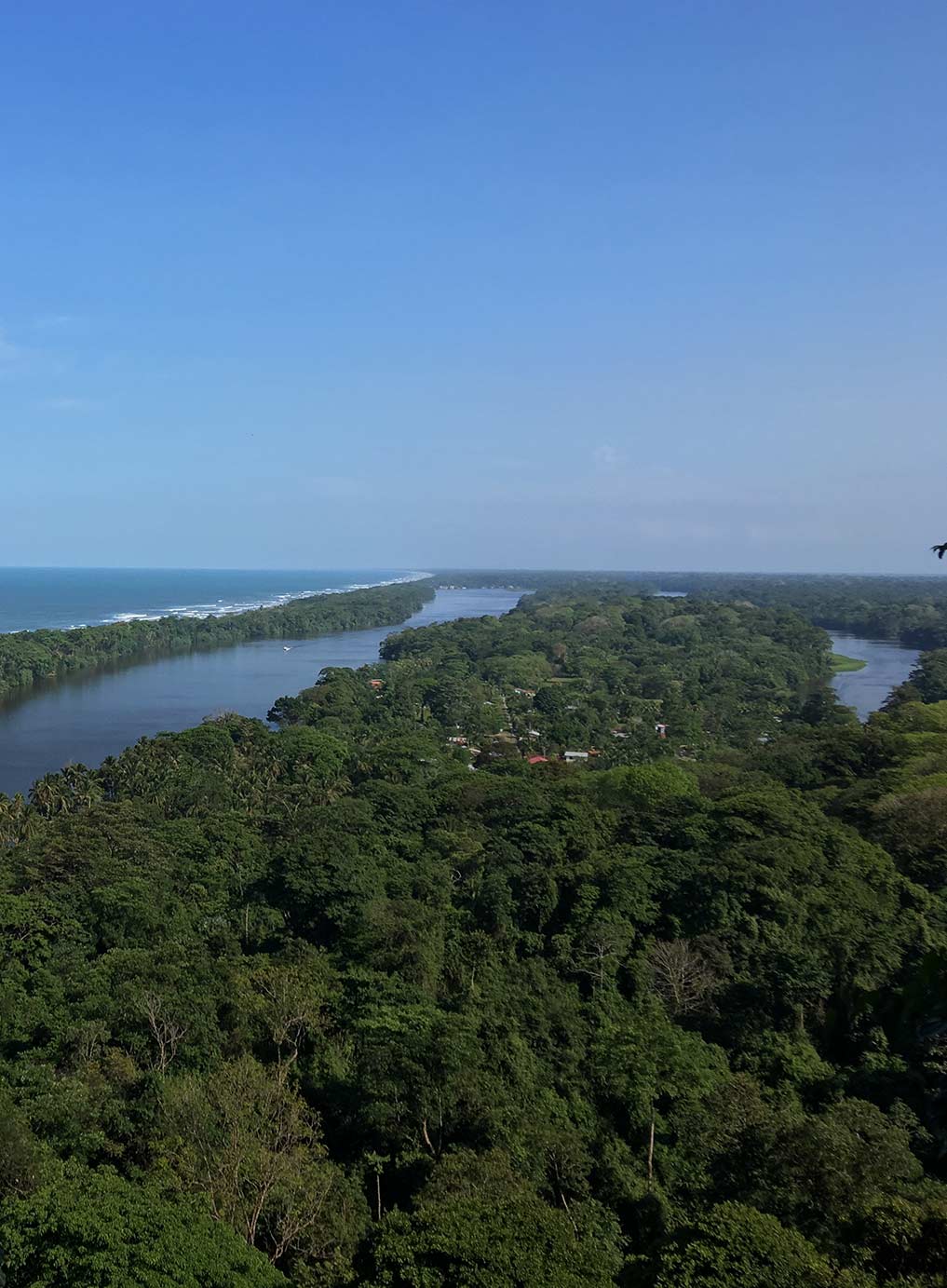 Laguna Lodge Tortuguero Costa Rica