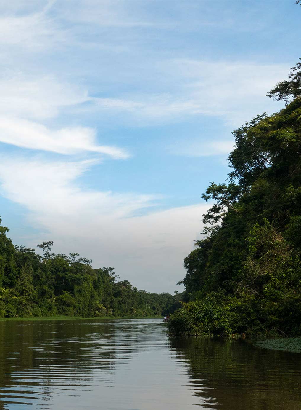 Laguna Lodge Tortuguero Costa Rica