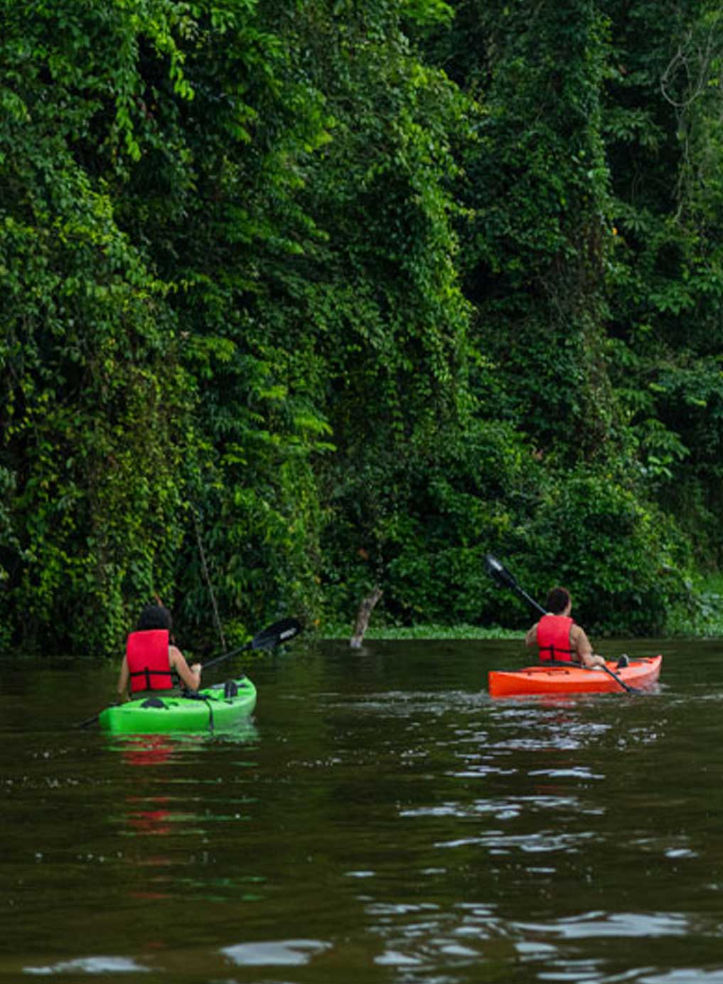 Laguna Lodge Tortuguero Costa Rica