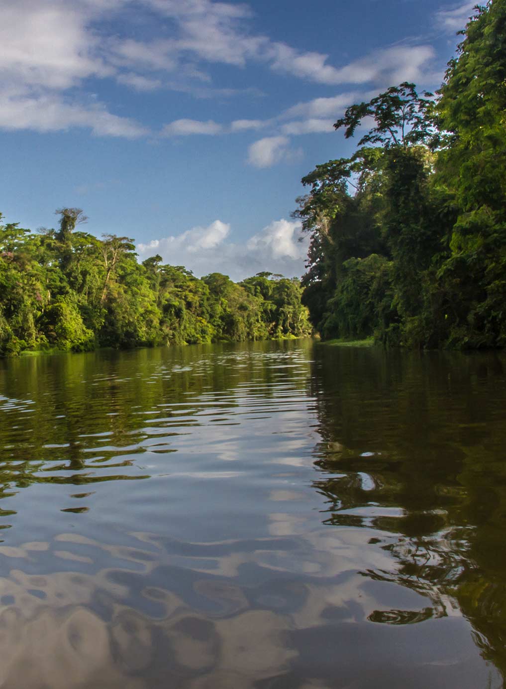 Laguna Lodge Tortuguero Costa Rica