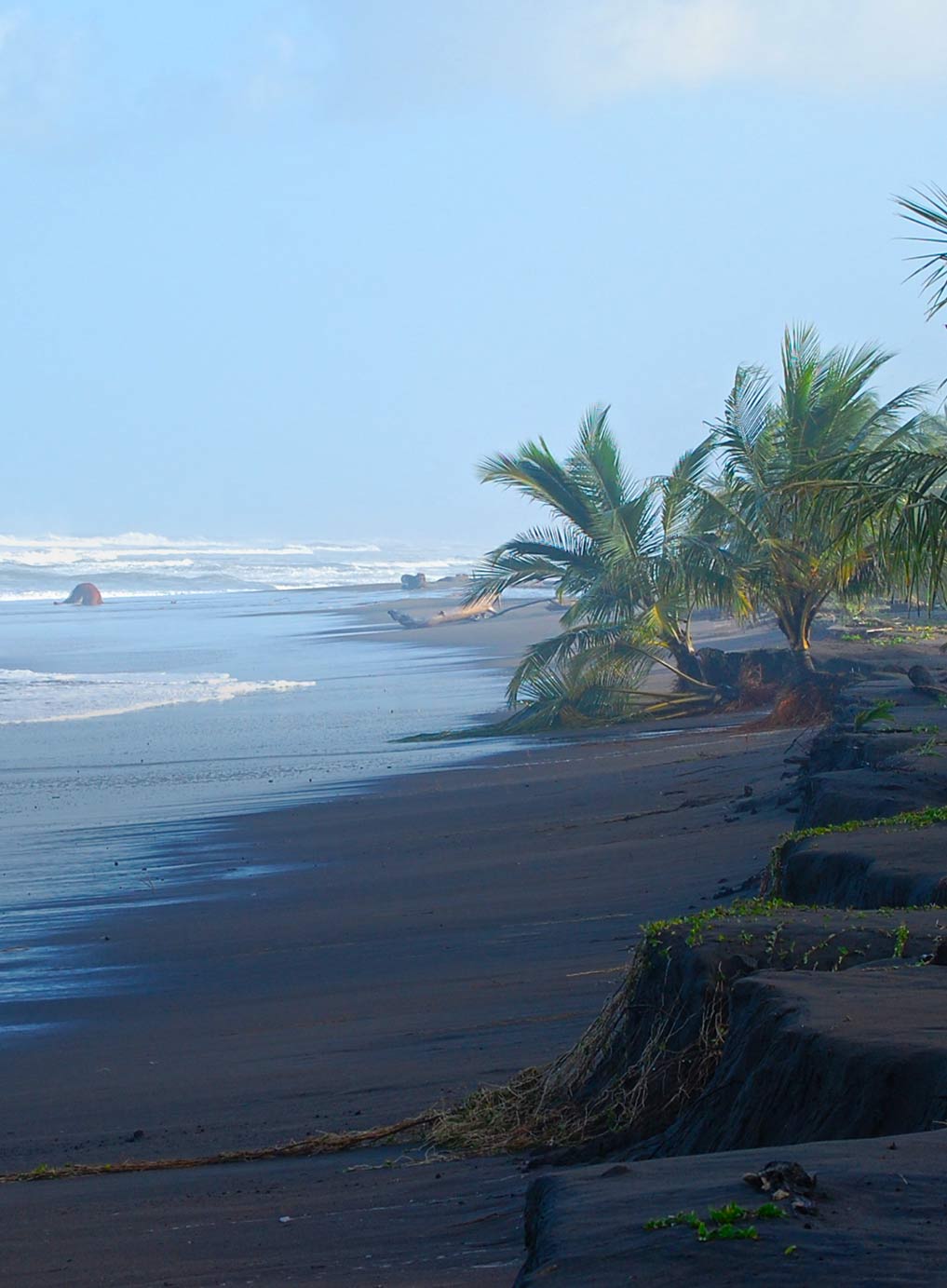 Laguna Lodge Tortuguero Costa Rica