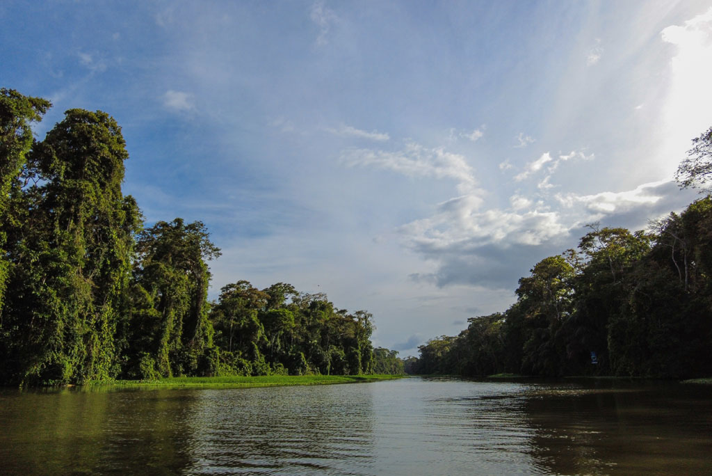 Tortuguero