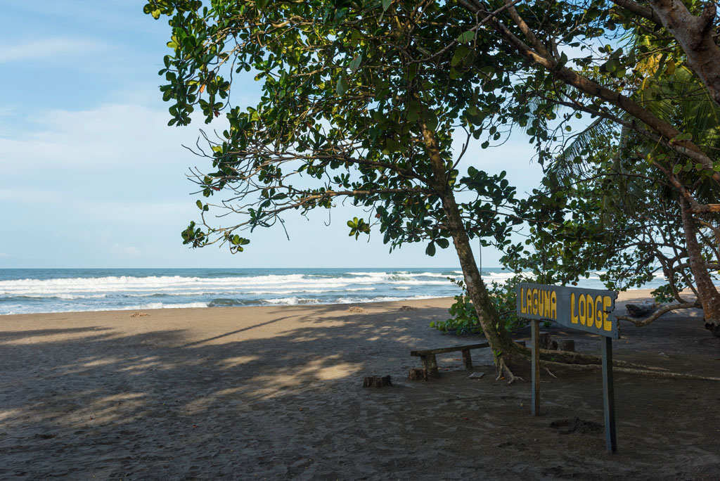 Tortuguero